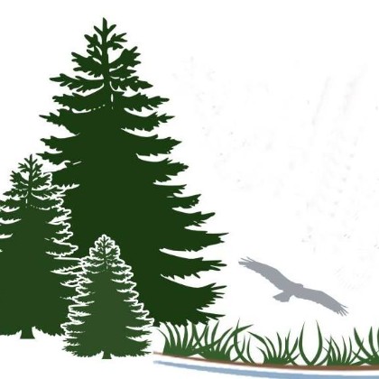 Woodland-Dunes